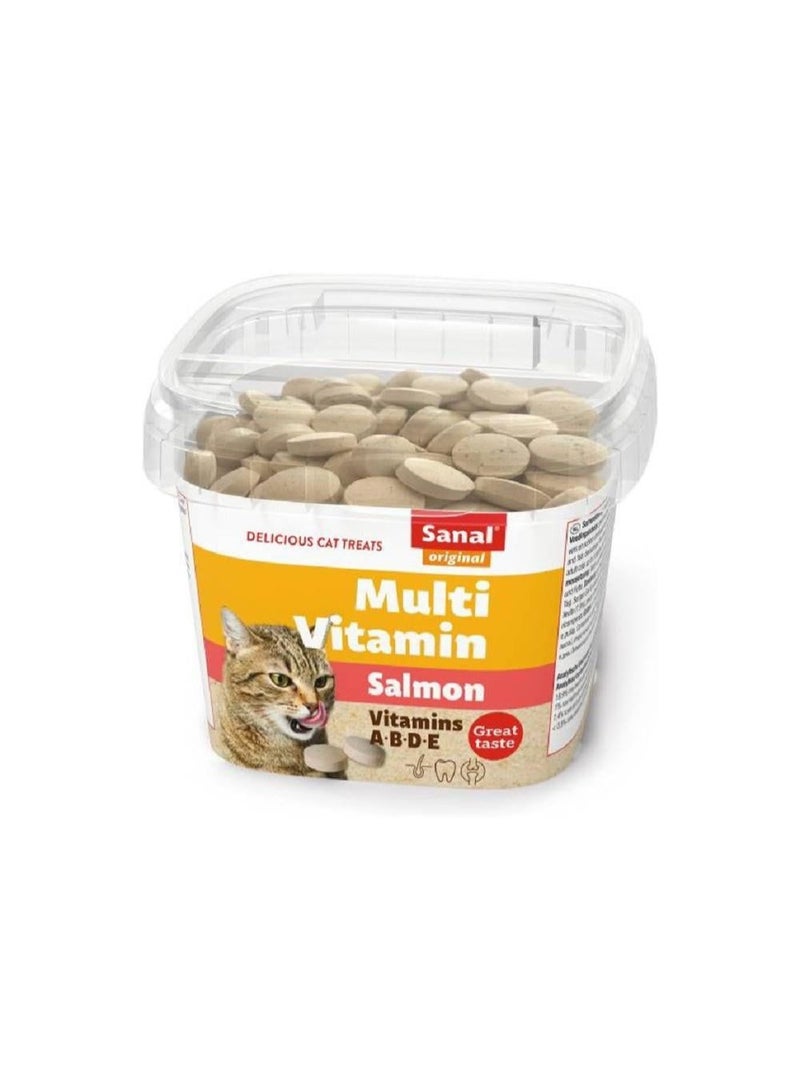 Snal Cup Salmon Flavor Multivitamin Cat Treats, 100g
